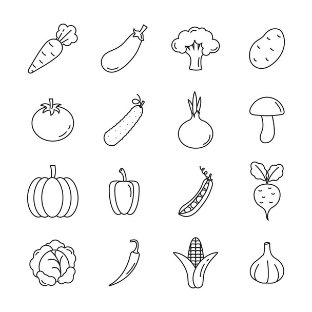 Set of veggies icon. vegetarian, vegetable pack symbol template for graphic and web design collection logo vector illustration - Vector, Imagen