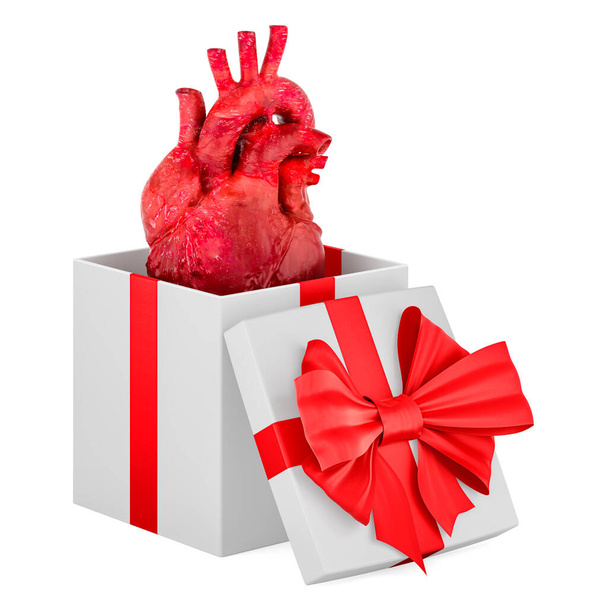Human heart inside gift box, present concept. 3D rendering isolated on white background - Foto, afbeelding