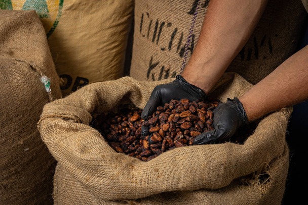 Canvas bag with Imported roasted cacao beans - Fotoğraf, Görsel