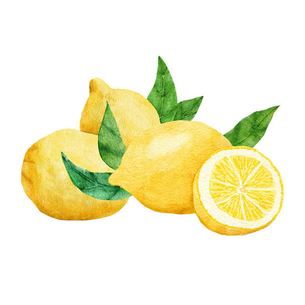 Акварельный ручной рисунок с желтыми ломтиками лимонов и зелеными листьями. Летний фруктовый цитрусовый клипарт для свадебных открыток, иллюстрация дизайна природы - Фото, изображение