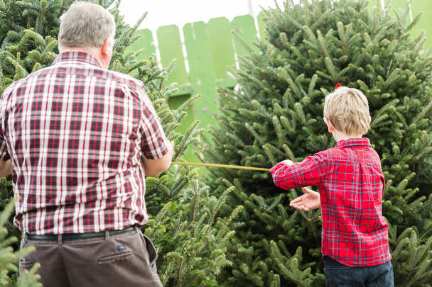 Famiglia che seleziona un albero per Natale
 - Foto, immagini