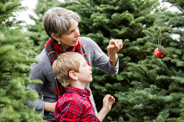 Μητέρα και γιος αγρόκτημα χριστουγεννιάτικο δέντρο - Φωτογραφία, εικόνα