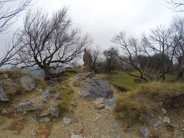 Rocky Walkway para ruínas do castelo em Hill
 - Foto, Imagem