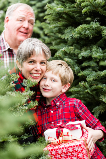 Rodziny w Christmas tree farm - Zdjęcie, obraz