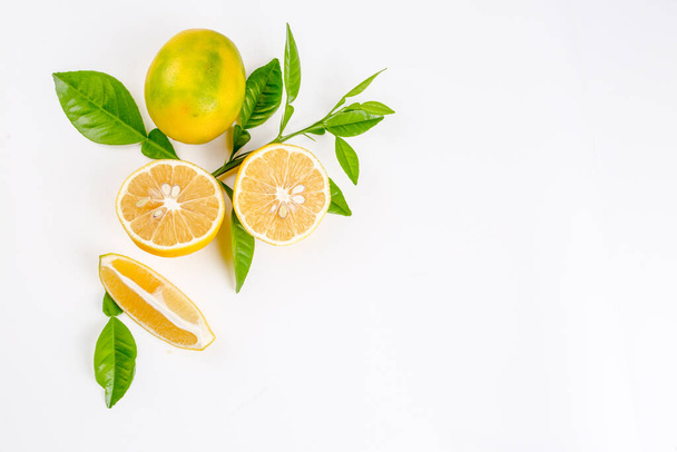 Fruit pattern of lemon slices isolated on a white background. Top view. - 写真・画像