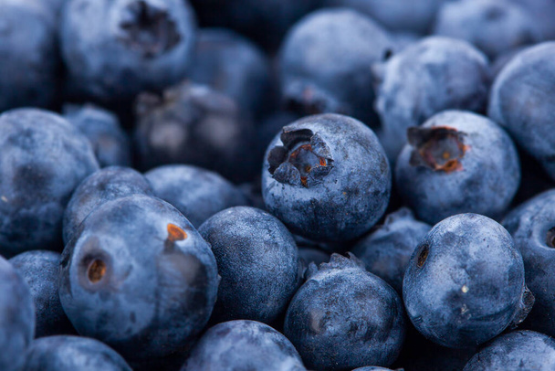 Fresh juicy blueberriy berries background - Foto, afbeelding