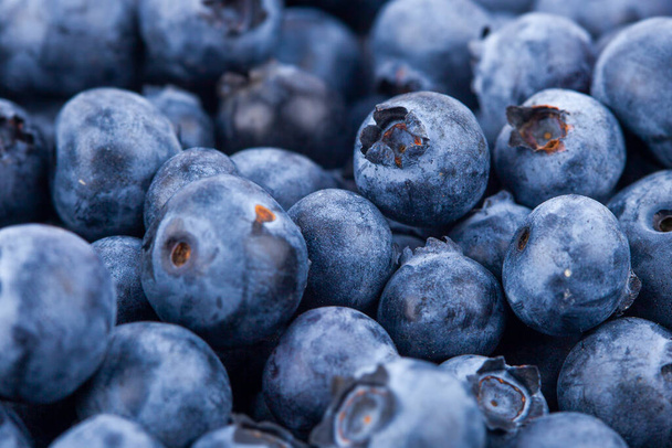 Fresh juicy blueberriy berries background - Foto, imagen