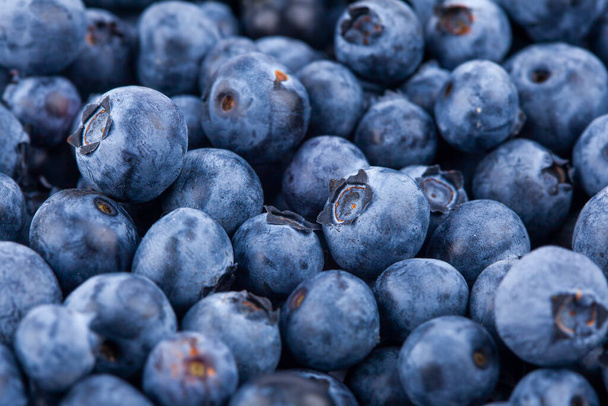 Fresh juicy blueberriy berries background - Foto, imagen