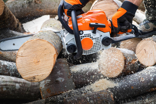 worker cuts firewood with a chainsaw - Photo, image