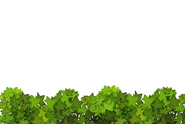 Realistic garden shrub, seasonal bush, boxwood, tree crown bush foliage.Ornamental green plant in the form of a hedge.For decorate of a park, a garden or a green fence. - Vektor, Bild