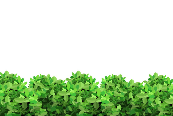 Realistic garden shrub, seasonal bush, boxwood, tree crown bush foliage.Ornamental green plant in the form of a hedge.For decorate of a park, a garden or a green fence. - Vector, imagen