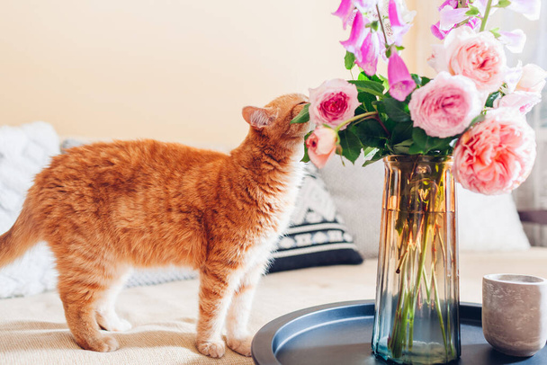 Τζίντζερ άρωμα γάτας μπουκέτο τριαντάφυλλα και λουλούδια foxgloves τοποθετούνται σε βάζο στο τραπέζι του καφέ. Περίεργο κατοικίδιο ζώο αισθάνεται άνετα και άνετα στο σπίτι - Φωτογραφία, εικόνα