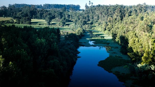 Вид на лесную реку на севере Португалии. - Фото, изображение