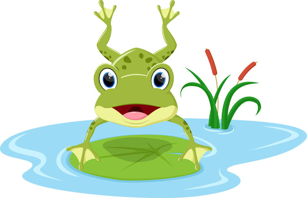 Vector Illustration of Cute frog cartoon isolated on white background - Vektori, kuva
