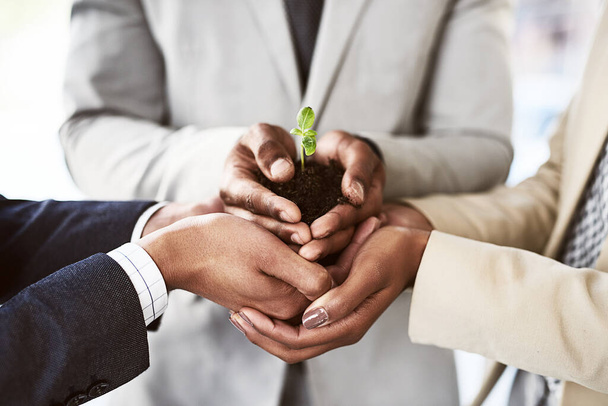 Work together, thrive together. Closeup shot of a group of unrecognizable businesspeople holding a plant growing out of soil - Foto, imagen