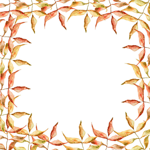 Frame square twigs dry autumn watercolor. Template for decorating designs and illustrations. - Foto, Bild