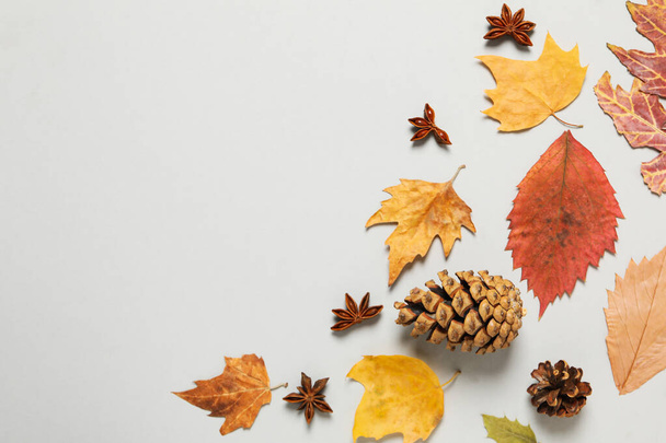 Concept of Autumn, Autumn composition accessories on light gray background - Foto, afbeelding