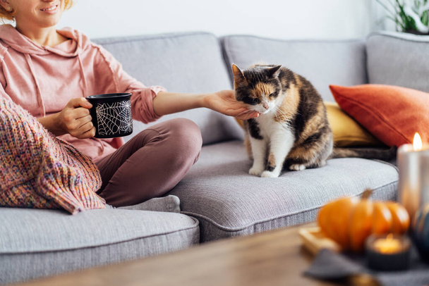 Cropped woman in plaid drinking hot tea from Halloween theme mug and stroking multicolored cat on the sofa at home. Cozy and comfortable autumn holidays concept. Rest and relax. Selective focus. - Fotografie, Obrázek