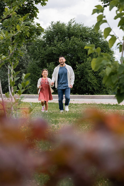 Positive asian father and daughter walking on grass in park  - Φωτογραφία, εικόνα