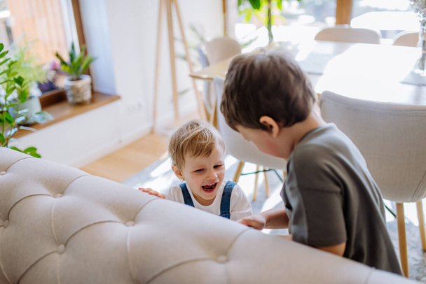 A little siblings playing in living room together. - Fotografie, Obrázek