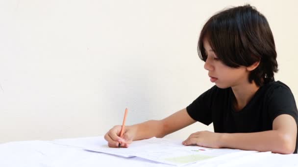 Νεαρός έφηβος από την Ανατολική Ασία σπουδάζει συγγραφή με στυλό και σημειωματάριο στο τραπέζι. Το αγόρι που κάνει τα μαθήματά του στο σπίτι. Μαύρο μπλουζάκι σε απομονωμένο λευκό φόντο - Πλάνα, βίντεο