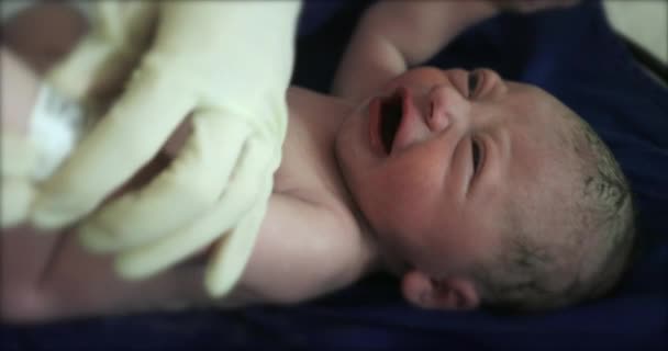 Newborn baby first seconds of life. infant after birth - Video