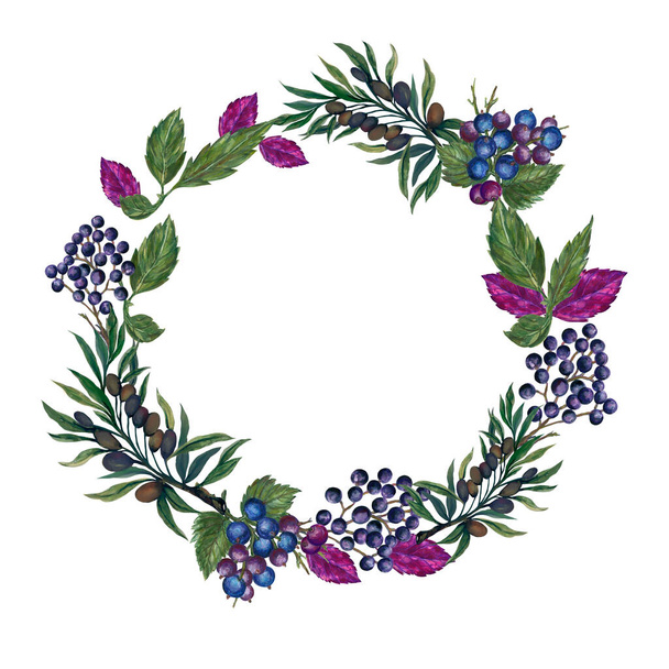 Watercolor gouache wreath circle blueberry and berry branch and foliage olive tree leaf botanical on white background - Fotoğraf, Görsel