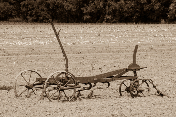 Старая борона
 - Фото, изображение