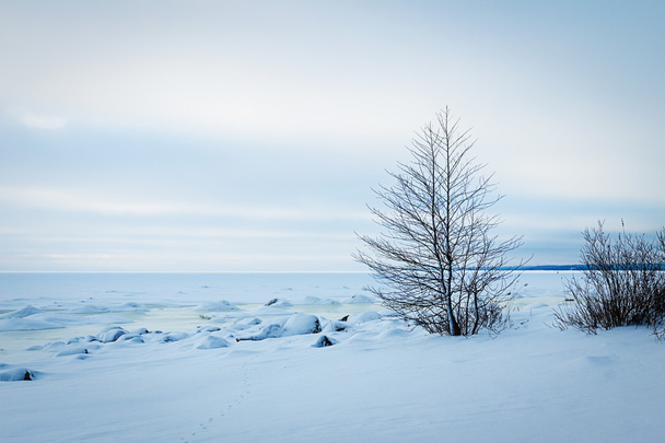 frozen Icy coastline of the bay - Foto, imagen