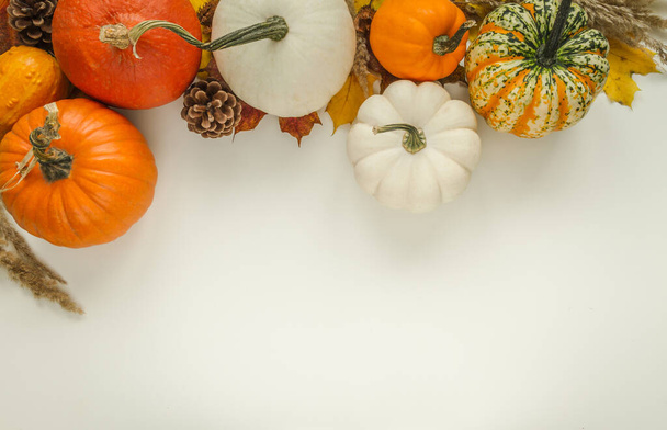 Pumpkins, cones and autumn leaves. Flat lay composition with copy space on white background for fall, Thanksgiving or Halloween. - Fotografie, Obrázek