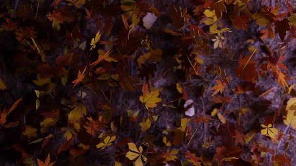 3D rendering. A night scene in the fall season with leaves falling on the ground in a forest. Autumn themed presentation template filled with colorful leaves. - Foto, afbeelding