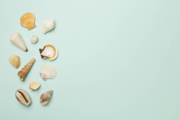 Sea shells on color background, top view. Summer concept. - Fotografie, Obrázek