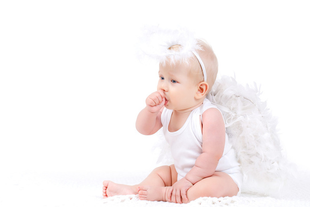 Small angel with the wings isolated on the white. - Foto, immagini