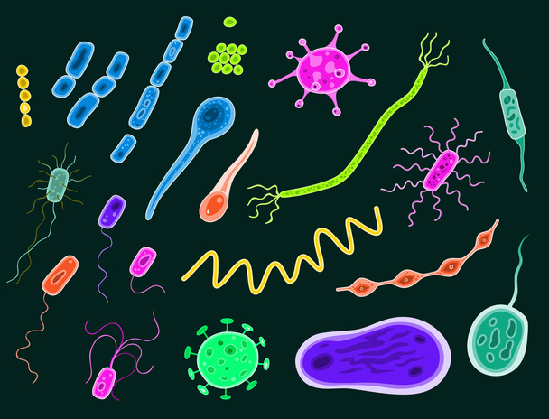 bacterias y virus
 - Vector, Imagen