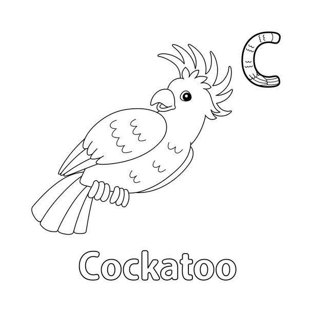 This ABC vector image shows a cockatoo coloring page. It is isolated on a white background. Perfect for children and elementary school students to learn the alphabet and all its letters. - Vektor, Bild