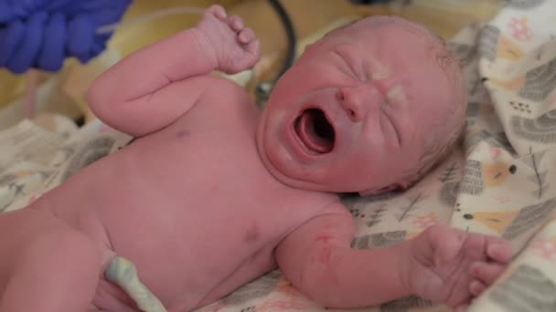 Screaming baby. Nurse take care of the newborn at hospital. Close up view of a tiny newborn child crying. - Video, Çekim