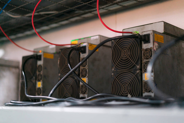 ASIC mining equipment for cryptocurrency on steel container.  Bitcoin miners in farm. - Fotografie, Obrázek