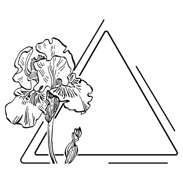 Ručně kreslené irises květinové logo, rám, okraj, promo prvek. Šablona symbolu značky. Minimalistický monogram. Rustikální elegantní ochranné známky nebo logotypy pozadí. - Vektor, obrázek