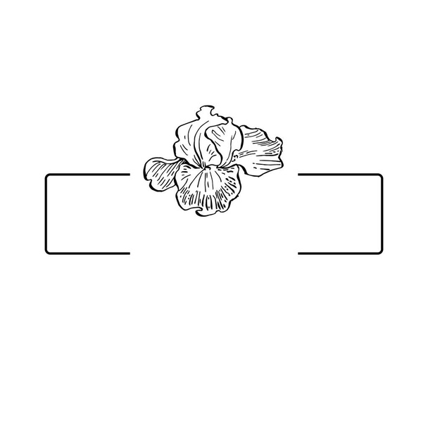 Hand drawn irises floral logo, frame, border, promo element. Brand emblem template. Minimalistic monogram. Rustic elegant trademark or logotypes background. - Vector, Image