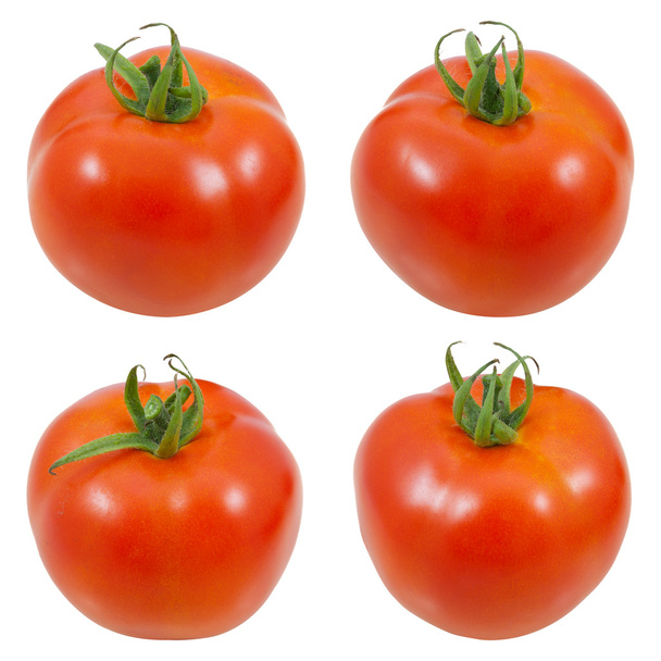4 style tomato - Zdjęcie, obraz