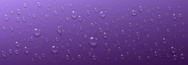 Condensation water drops on purple horizontal background. Rain droplets with light reflection abstract wet texture, scattered pure aqua blobs on violet backdrop, Realistic 3d vector footer or header - Vetor, Imagem