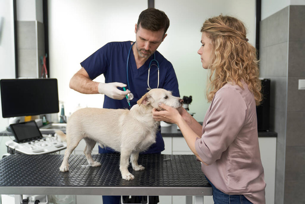 Врач-мужчина делает укол собаке в клинике                                 - Фото, изображение