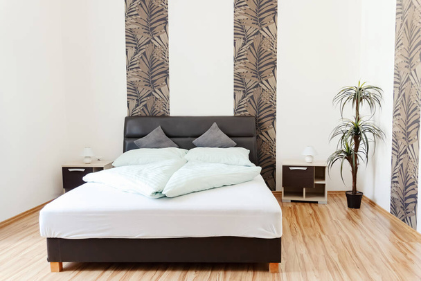Modern Hotel Room With A Beautiful Plant. High quality photo - Fotoğraf, Görsel