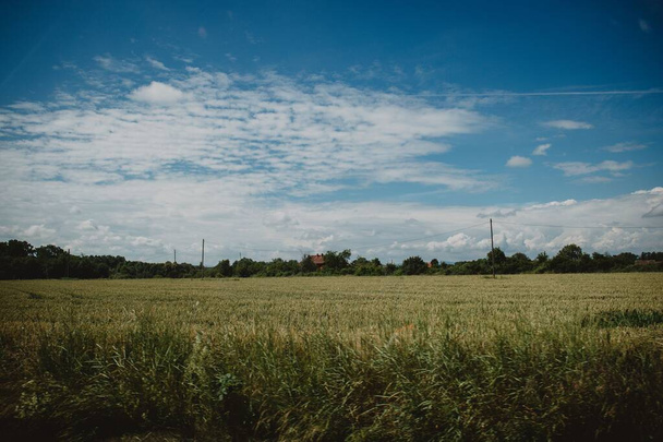 Een schilderachtig landschap van een veld overdag - Foto, afbeelding