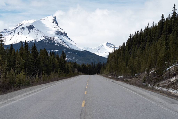 An empty road surrounded by pine trees with snow-capped mountains in the background in Banff, Canada - Foto, immagini