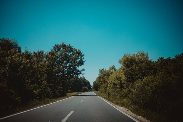 An asphalt road in the nature - Fotoğraf, Görsel