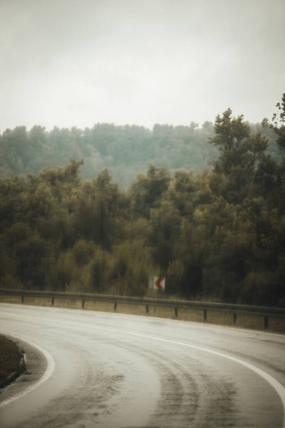 An empty asphalt road winding through lush green trees - Zdjęcie, obraz