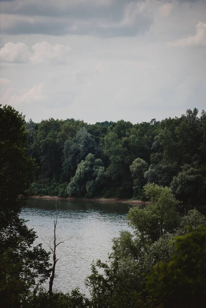 A natural view of a calm lake and thick forest under a cloudy sky - Foto, Bild