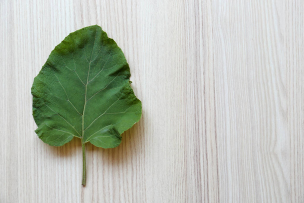 Fresh green burdock leaf on light wooden table, top view. Space for text - Photo, Image