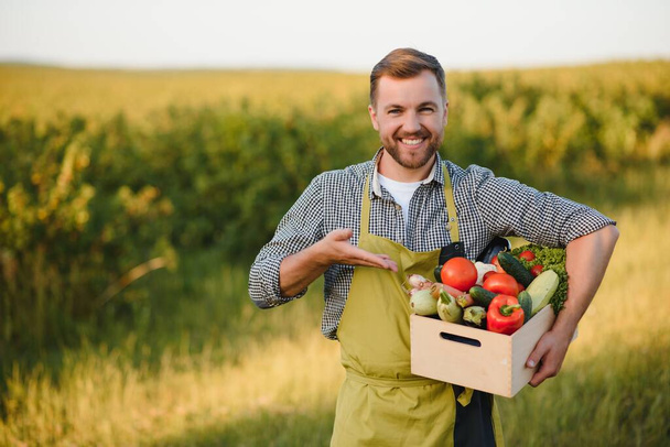 farmer holding box with organic vegetables. - Фото, зображення